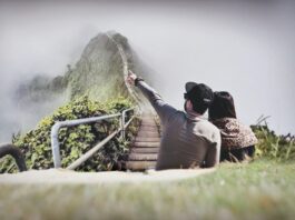 EHarmony Review August 2022